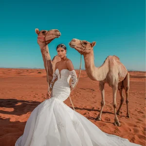 Robe de mariée sirène Sun