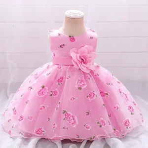 Robe Princesse Bébé 6 mois