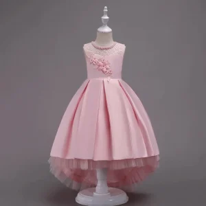 Robe de Princesse Rose Pale