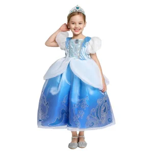 Robe Princesse Bleue et Blanche
