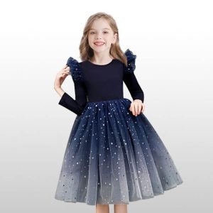Robe Princesse Bleue Fille