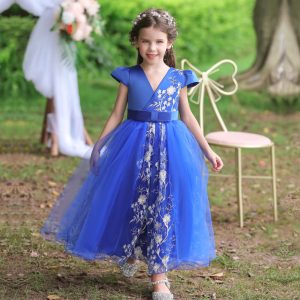 Robe Princesse Fille Bleu Roi
